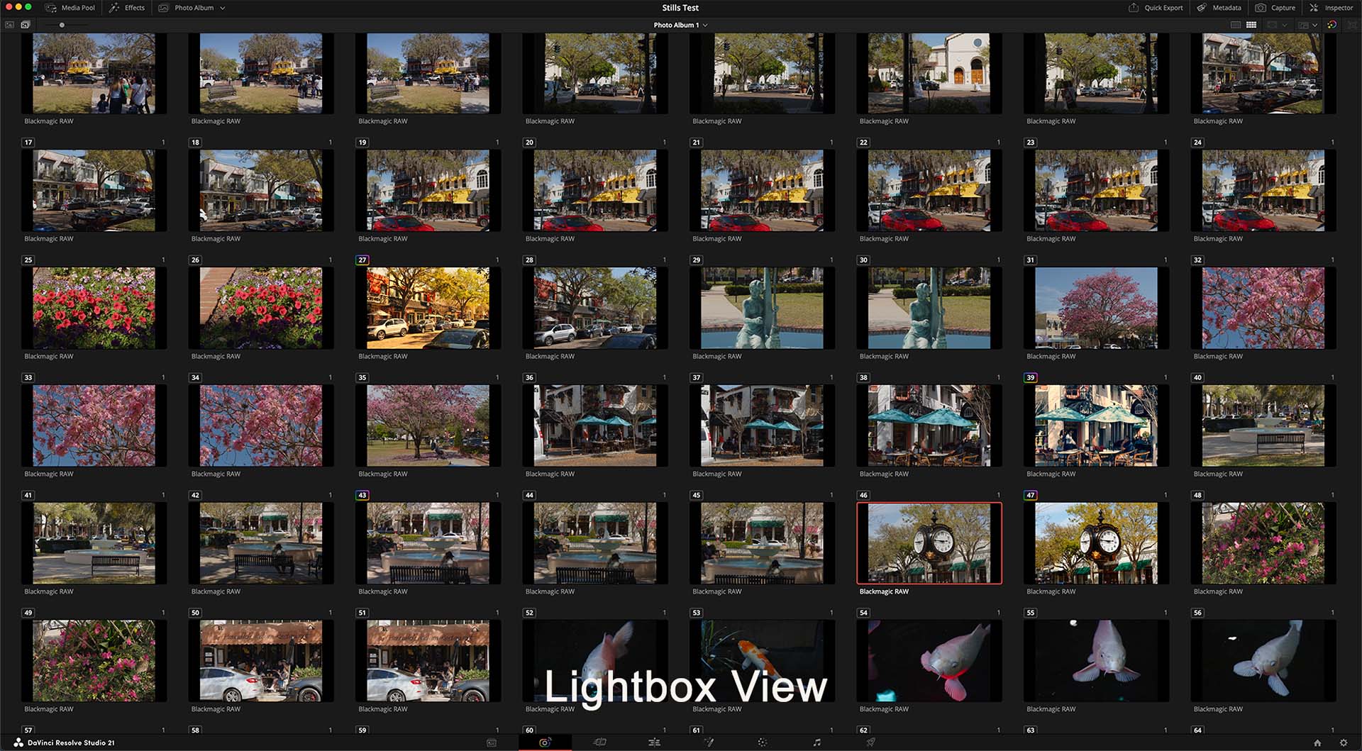 The New DaVinci Resolve 21 Photo Page 26 The New DaVinci Resolve 21 Photo Page 26
