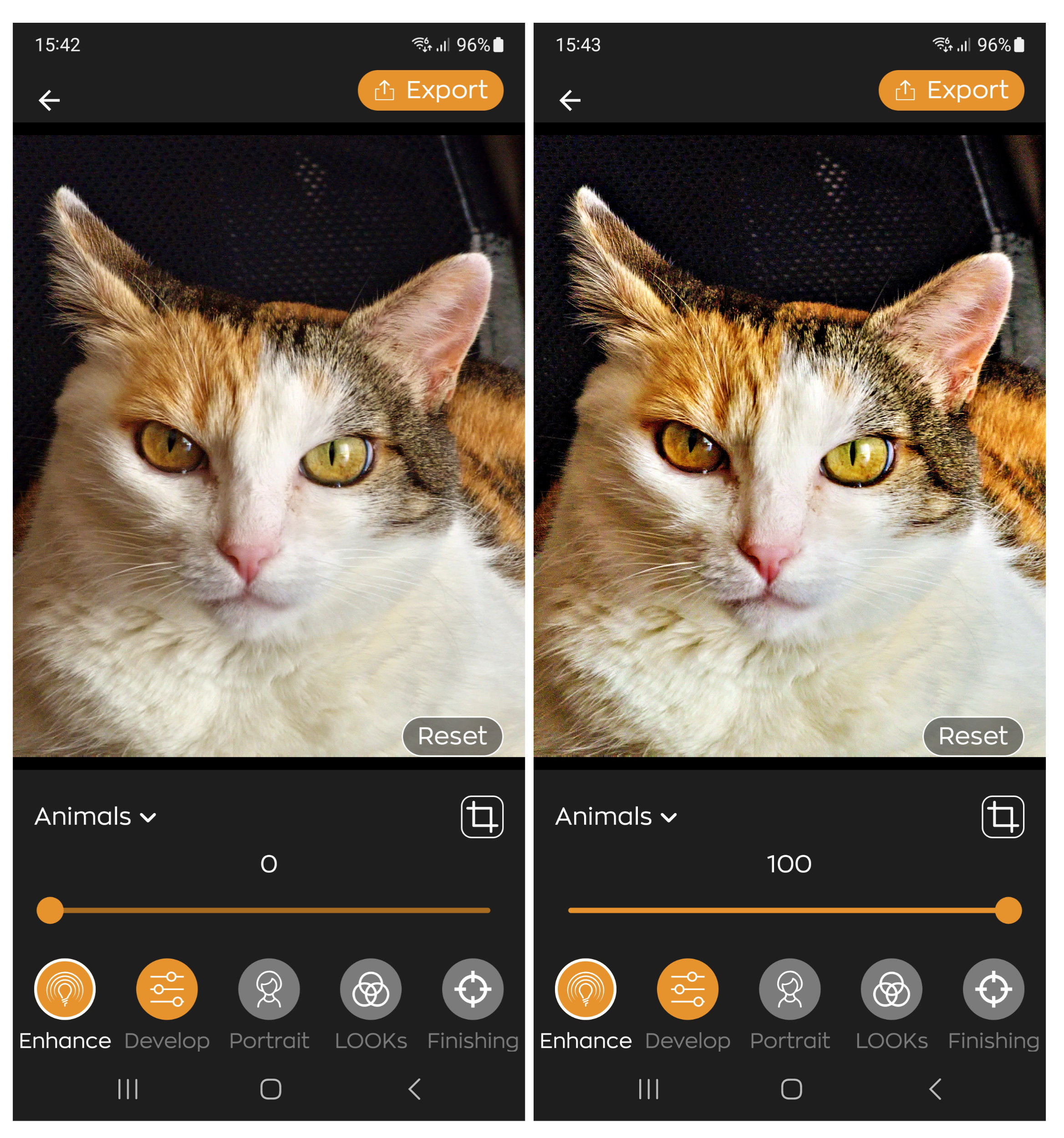 First contact: Radiant Photo Mobile, a photo editor for smartphone