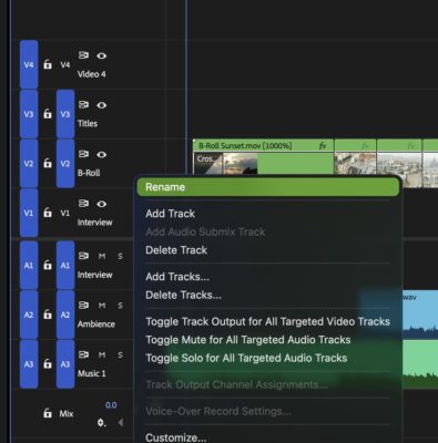 Tool Tip Tuesday for Adobe Premiere Pro: Perfect Sequence Templates (With Track Names That Actually Stick) 21
