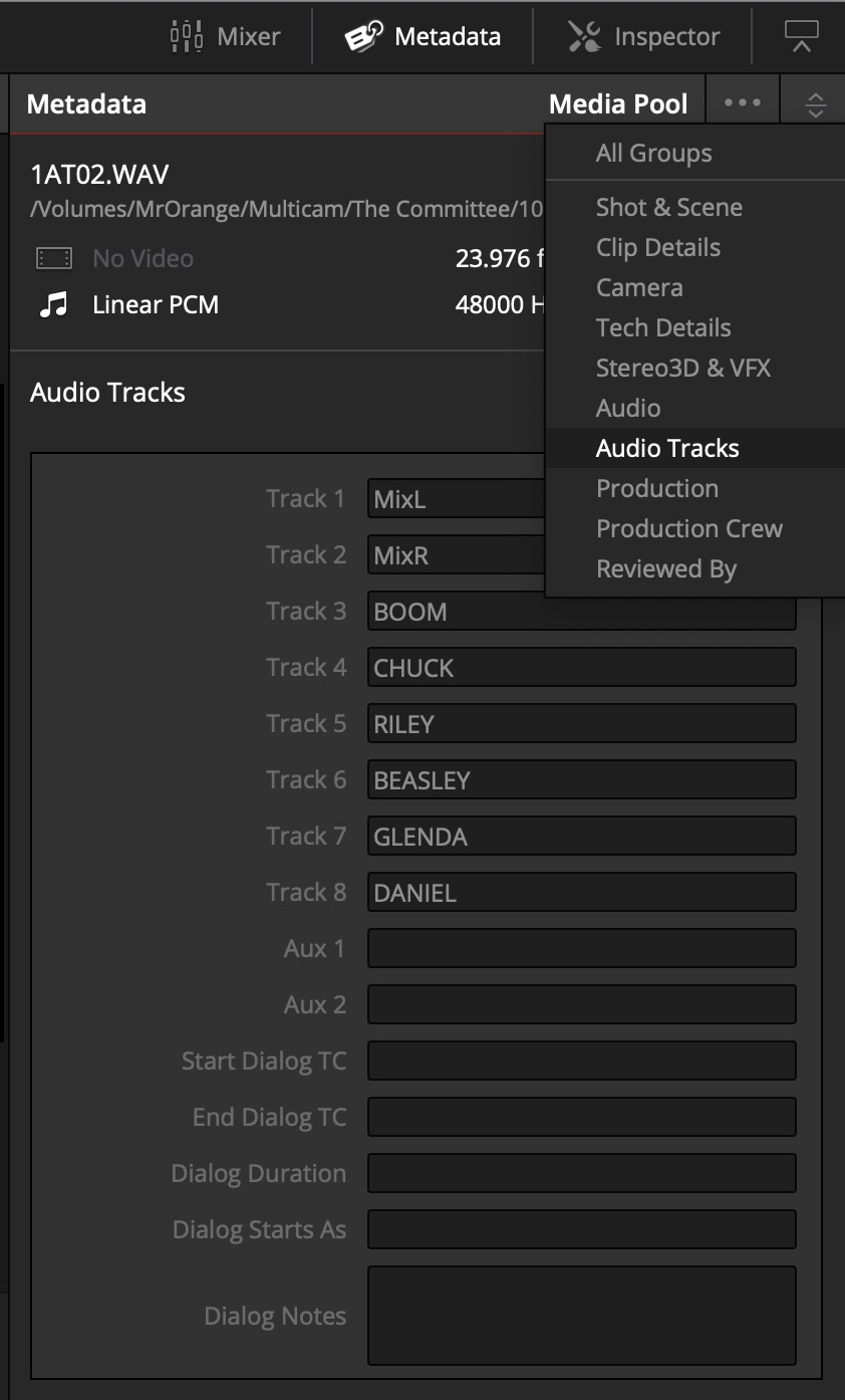 Adobe and Avid need to support iXML metadata for audio channels in the timeline 19