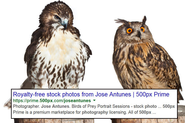 My Photos Are Not Royalty-Free 9