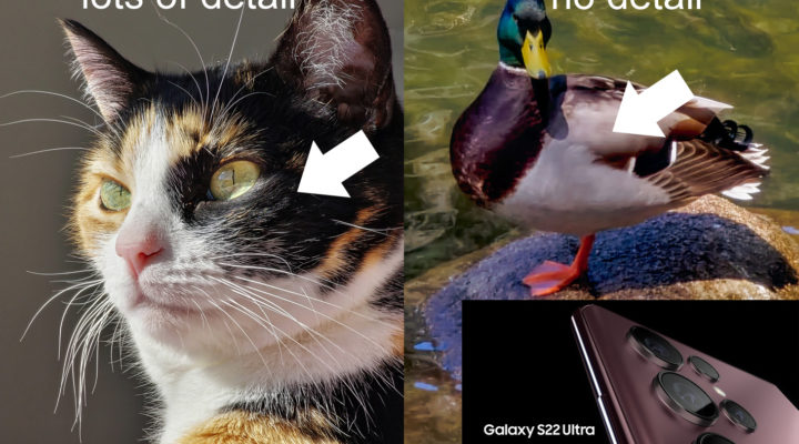 Samsung Galaxy S22 Ultra: inconsistent AF and other problems