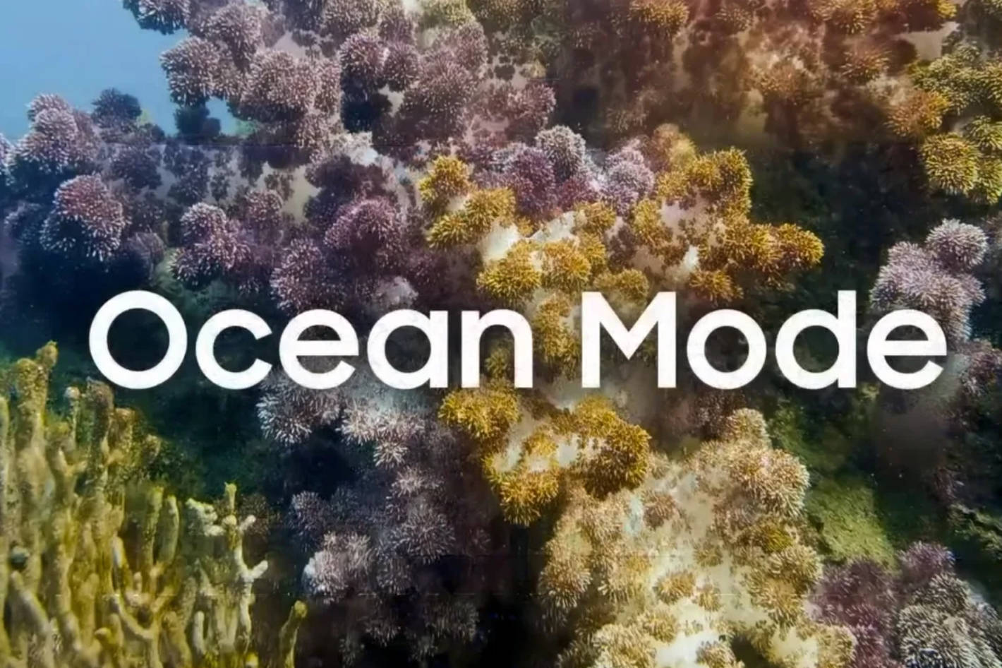 Advanced underwater imaging using Samsung’s Ocean Mode