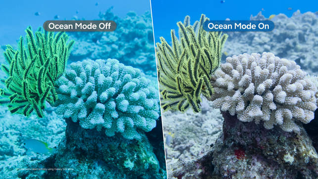 Advanced underwater imaging using Samsung’s Ocean Mode 13 Advanced underwater imaging using Samsung’s Ocean Mode