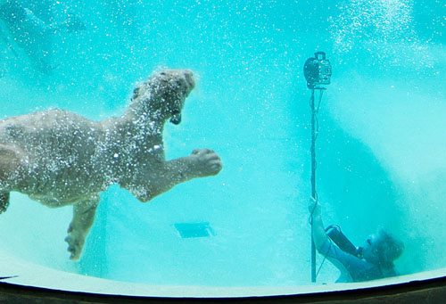shooting_underwater.jpg