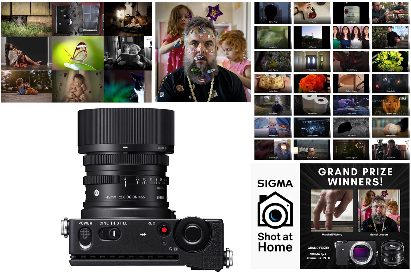 Sigma Shot At Home photo contest: the winners