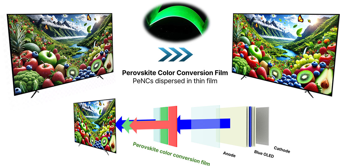 CES 2026: SN Display technology delivers over 95% Rec.2020 coverage