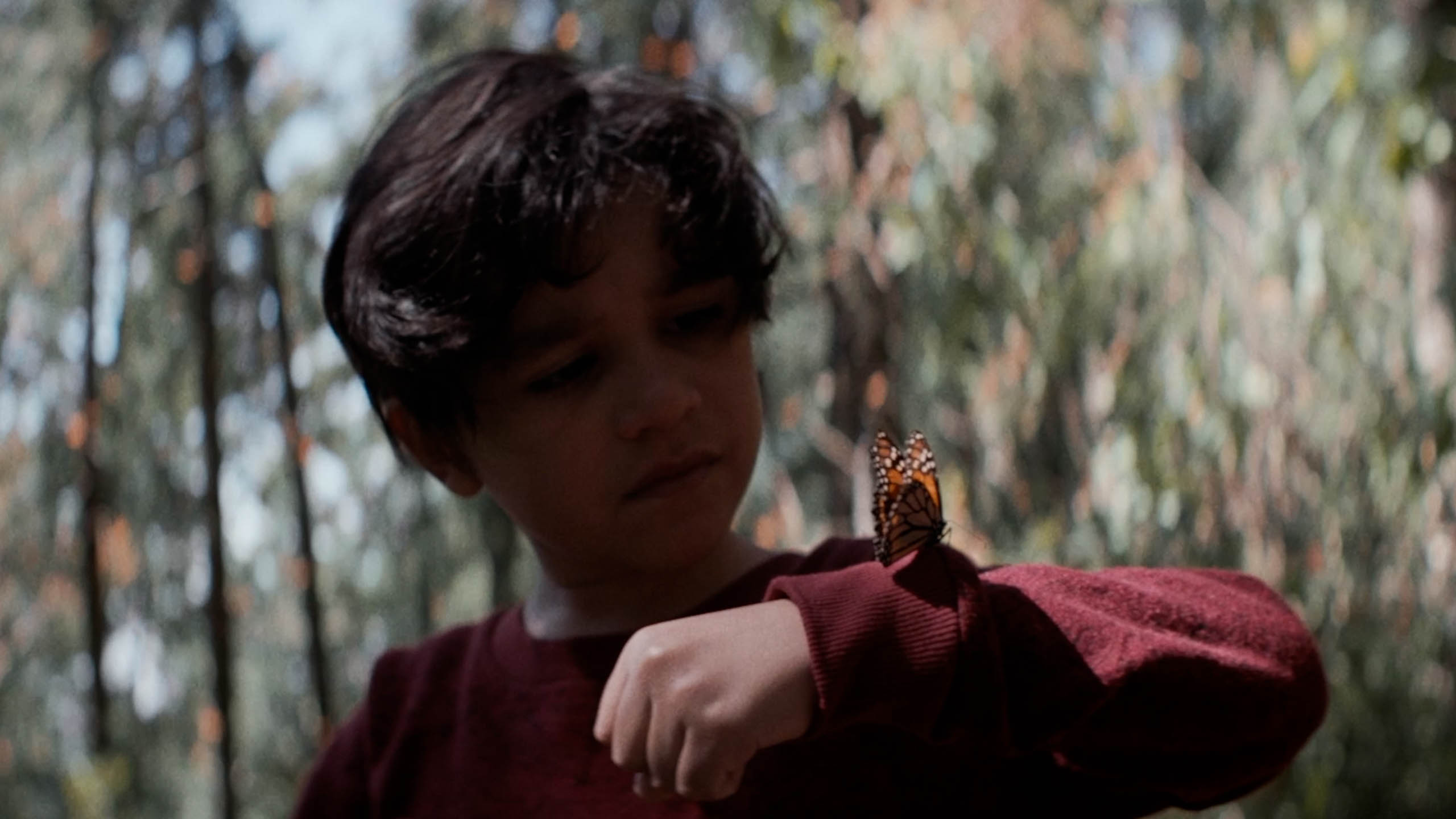 "Son of Monarchs" DP Alejandro Mejia, AMC // Frame & Reference Ep.6 2