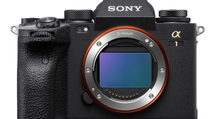 Alpha 1: first Sony mirrorless with 8K video-resolution