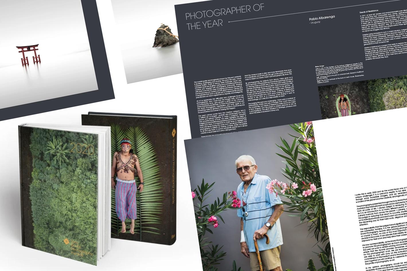 Sony World Photography Awards 2020: the free eBook