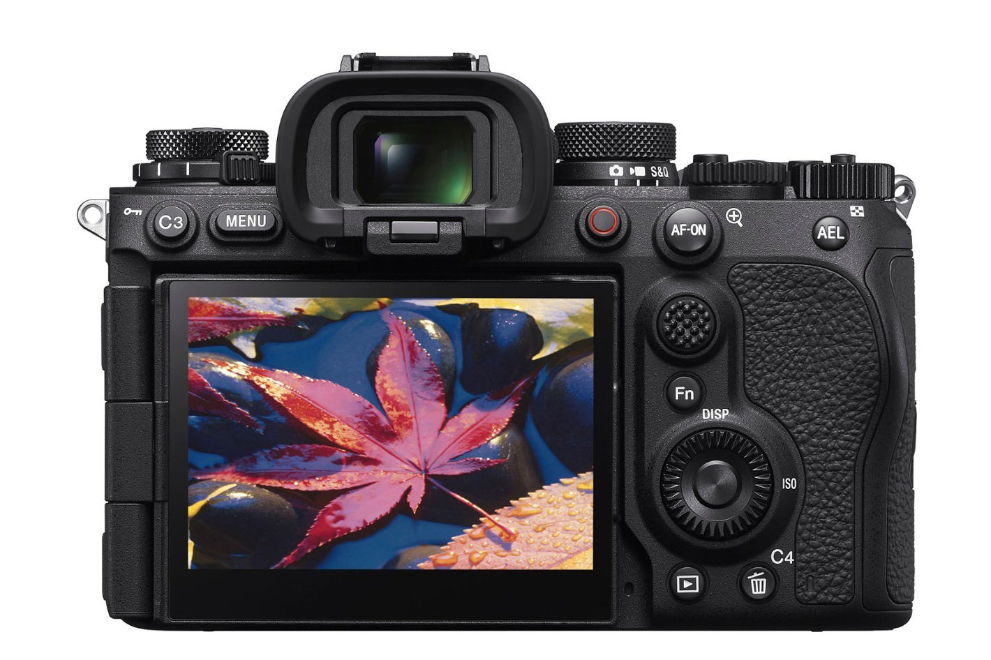 Sony cameras to offer birth certificate for images