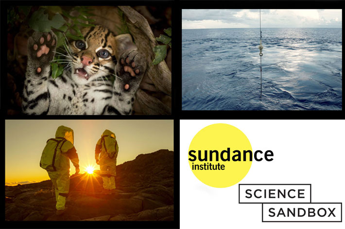 Sundance and Science Sandbox announce nine new grant recipients