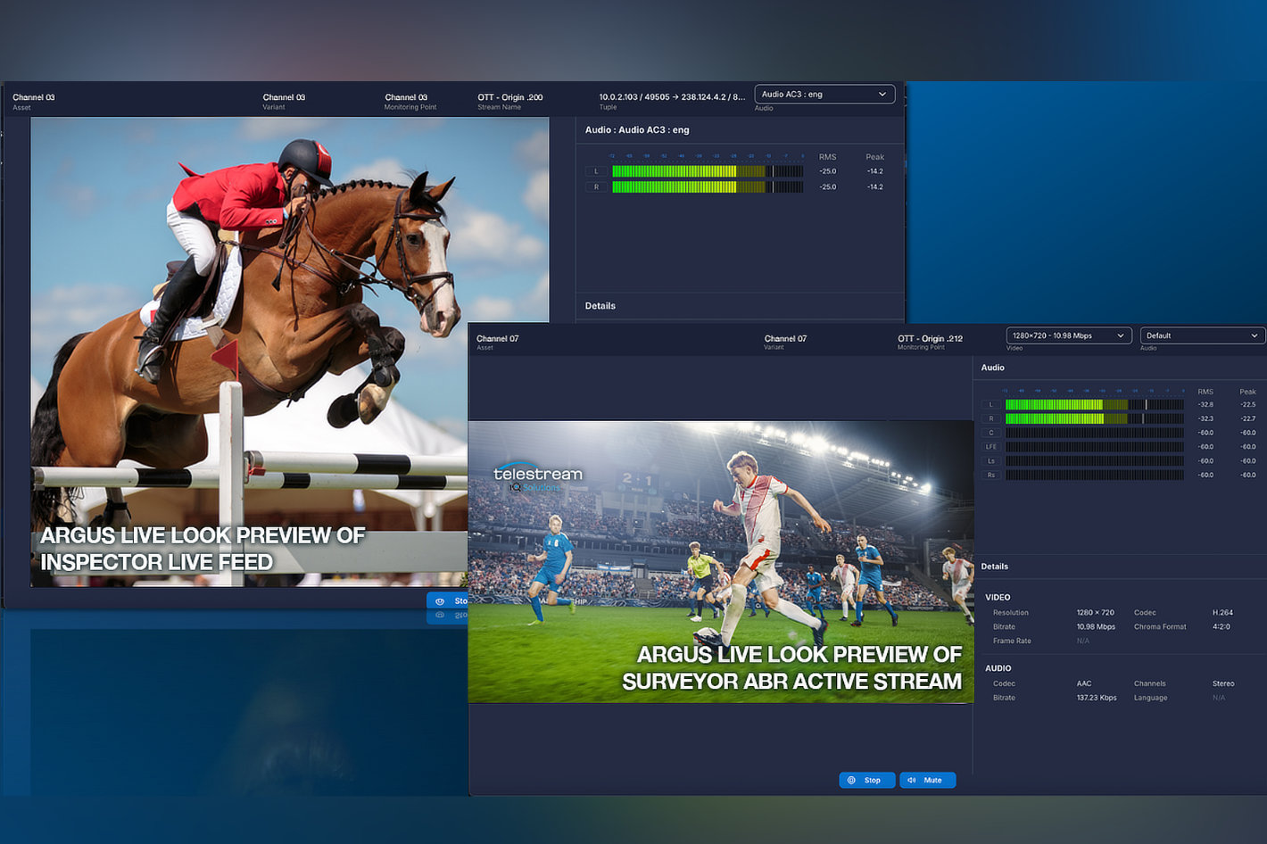 Telestream: ARGUS v2.3 introduces Live Look