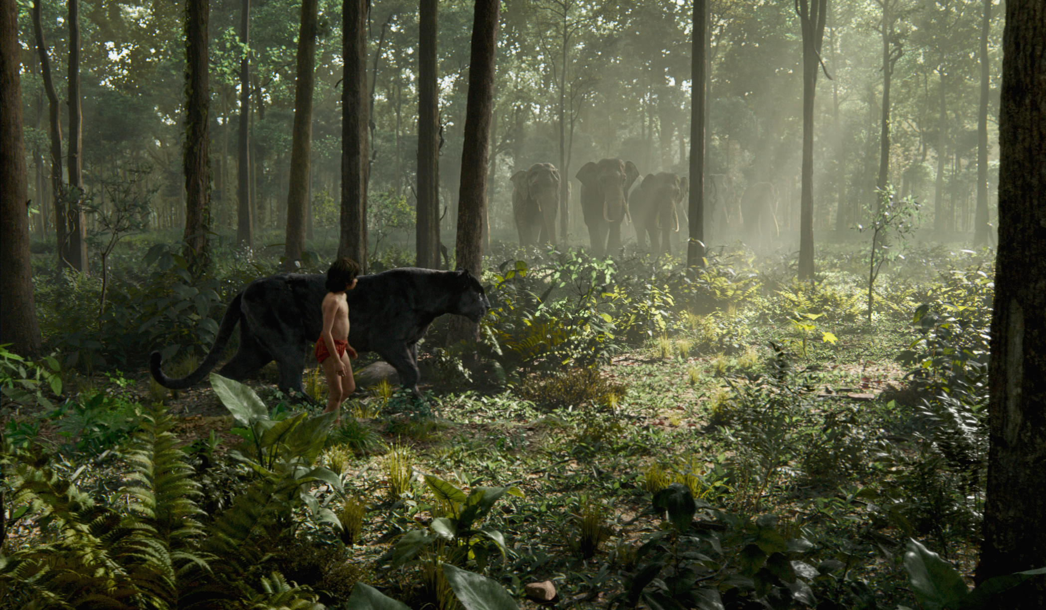 THE JUNGLE BOOK - (L-R) MOWGLI and BAGHEERA. ©2016 Disney Enterprises, Inc. All Rights Reserved.