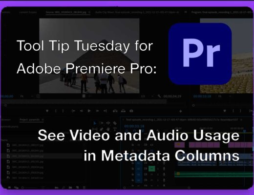 Tool Tip Tuesday for Adobe Premiere Pro: Video and Audio Usage columns 14