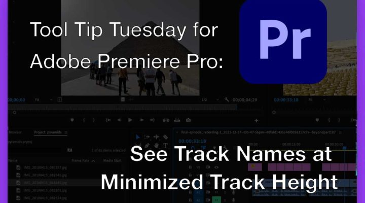 Tool Tip Tuesday for Adobe Premiere Pro: See Track Names at Minimized Track Height 1