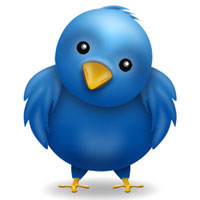 top-twitterers-to-follow.jpg