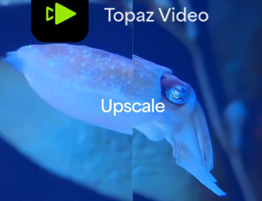 Topaz Video - In Depth Review 13