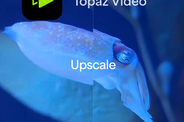 Topaz Video - In Depth Review 1