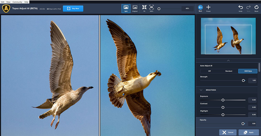 Topaz Labs Adjust AI: too much Artificial Intelligence can kill your photos 19