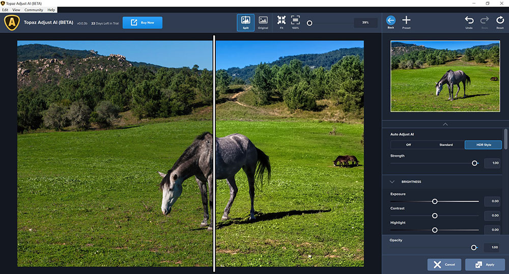 Topaz Labs Adjust AI: too much Artificial Intelligence can kill your photos 20