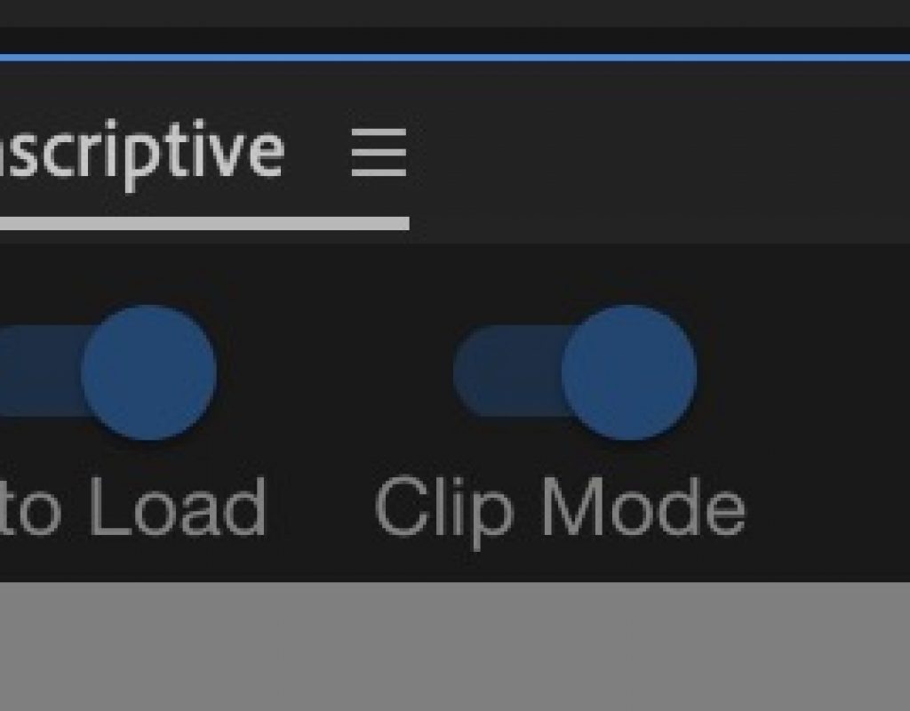 Transcriptive 2.0 takes transcription in Premiere Pro to the next level 37
