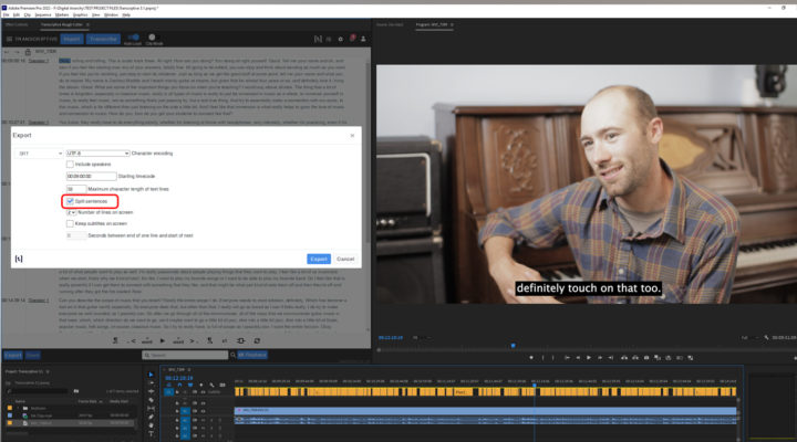 Digital Anarchy: faster transcripts with new "Premium Option" 1