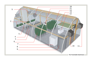 transmedia-greenhouse.jpg