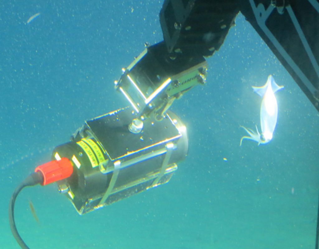Micro Studio Camera 4K goes deep underwater