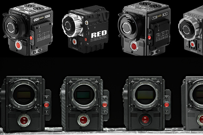 RED cameras at Wildscreen 2016 